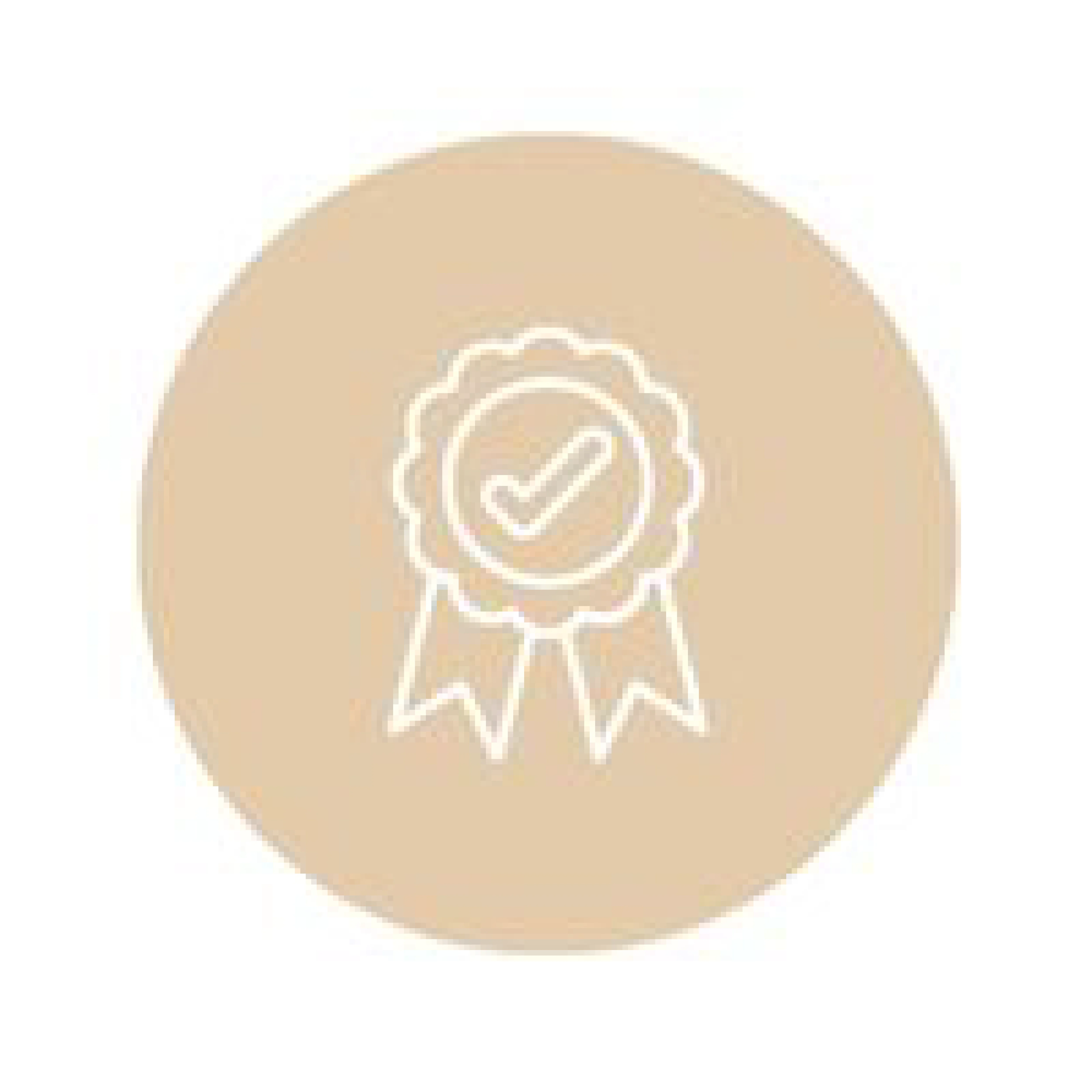 güvenilirlik icon0